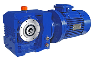 Heli Worm Shaft Mounted Gear Motor